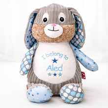 Load image into Gallery viewer, Plush toy rabbit with text 'I belong to Aled' on a white background
